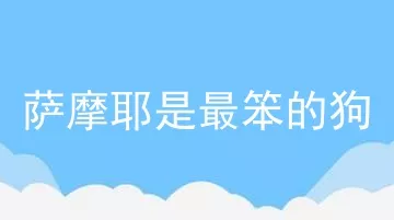 萨摩耶是最笨的狗