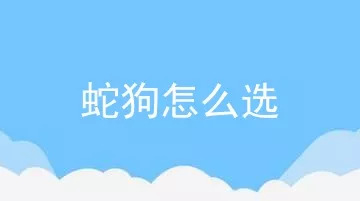 蛇狗怎么选