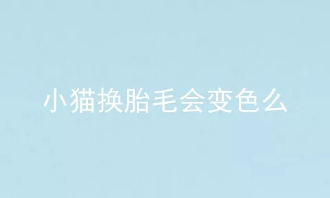 小猫换胎毛会变色么