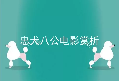 忠犬八公电影赏析