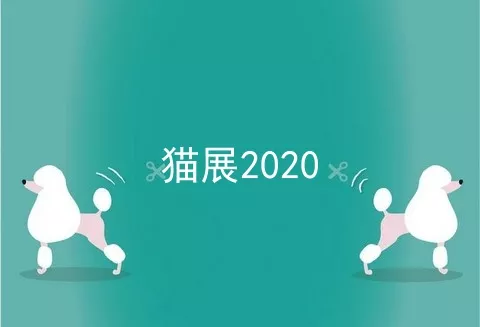 猫展2020