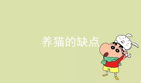 养猫的缺点