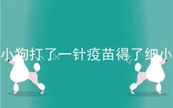 小狗打了一针疫苗得了细小