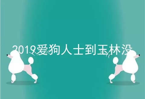 2019爱狗人士到玉林没