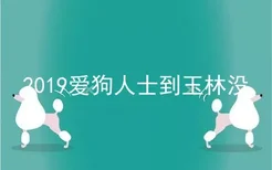 2019爱狗人士到玉林没