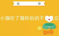 小猫吃了猫砂后的不良反应