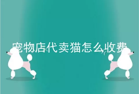 宠物店代卖猫怎么收费