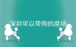 深圳可以带狗的商场