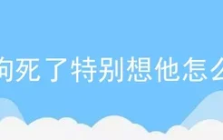 狗狗死了特别想他怎么办