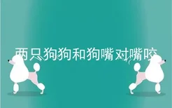 两只狗狗和狗嘴对嘴咬