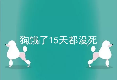 狗饿了15天都没死