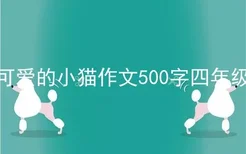 可爱的小猫作文500字四年级