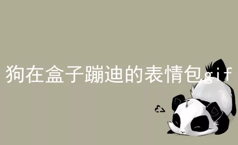 狗在盒子蹦迪的表情包gif