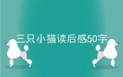 三只小猫读后感50字