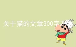 关于猫的文章300字左右