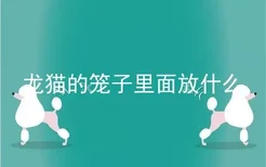 龙猫的笼子里面放什么