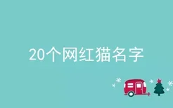 20个网红猫名字