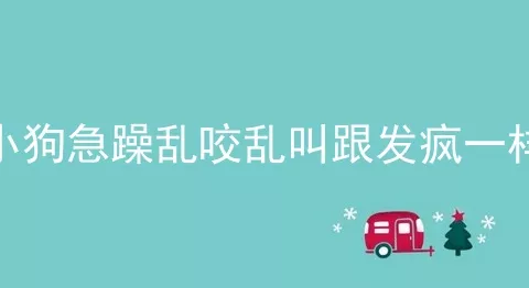 小狗急躁乱咬乱叫跟发疯一样