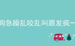 小狗急躁乱咬乱叫跟发疯一样