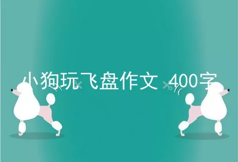 小狗玩飞盘作文 400字