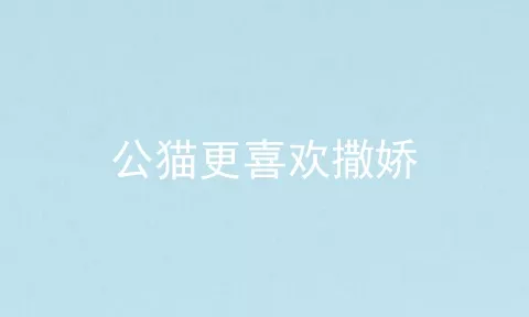 公猫更喜欢撒娇