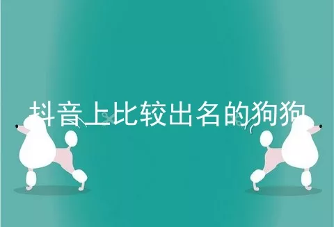 抖音上比较出名的狗狗