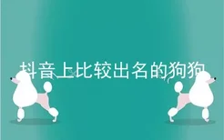 抖音上比较出名的狗狗