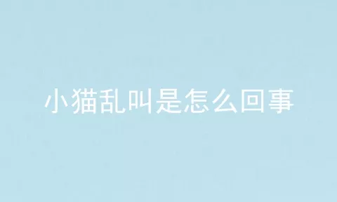 小猫乱叫是怎么回事