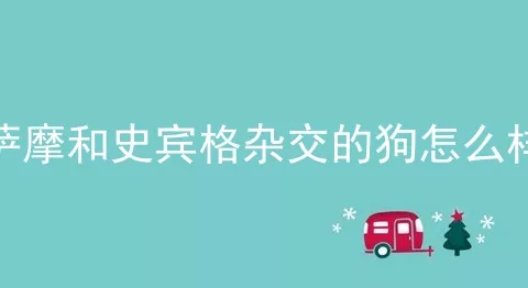 萨摩和史宾格杂交的狗怎么样