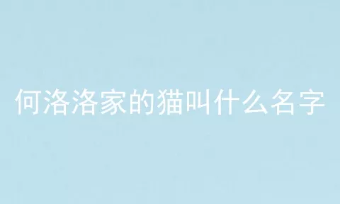 何洛洛家的猫叫什么名字