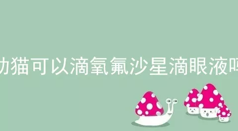 幼猫可以滴氧氟沙星滴眼液吗