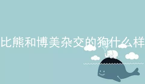 比熊和博美杂交的狗什么样