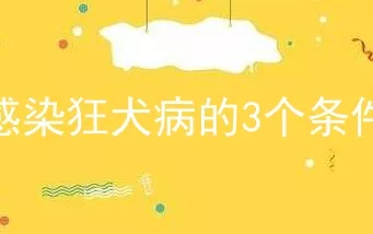 感染狂犬病的3个条件