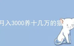 月入3000养十几万的猫的锅