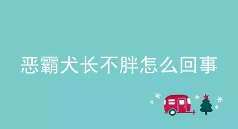 恶霸犬长不胖怎么回事