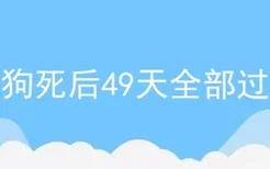 狗狗死后49天全部过程