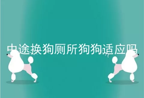 中途换狗厕所狗狗适应吗