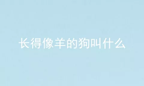 长得像羊的狗叫什么