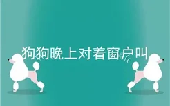 狗狗晚上对着窗户叫