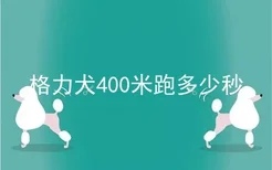 格力犬400米跑多少秒