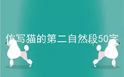 仿写猫的第二自然段50字