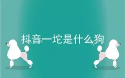 抖音一坨是什么狗