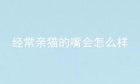 经常亲猫的嘴会怎么样