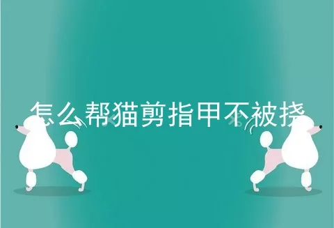 怎么帮猫剪指甲不被挠