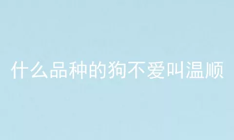 什么品种的狗不爱叫温顺