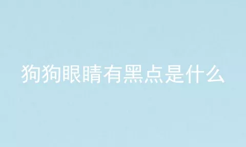 狗狗眼睛有黑点是什么