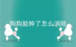 狗狗脸肿了怎么消除