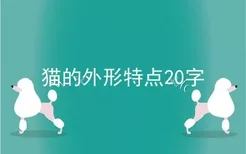 猫的外形特点20字