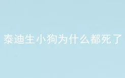 泰迪生小狗为什么都死了