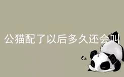 公猫配了以后多久还会叫